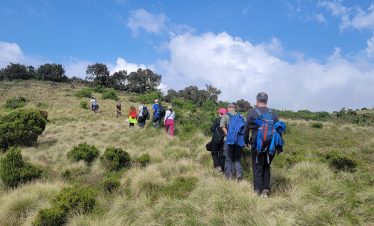 4 Days Simien Mountains Trekking